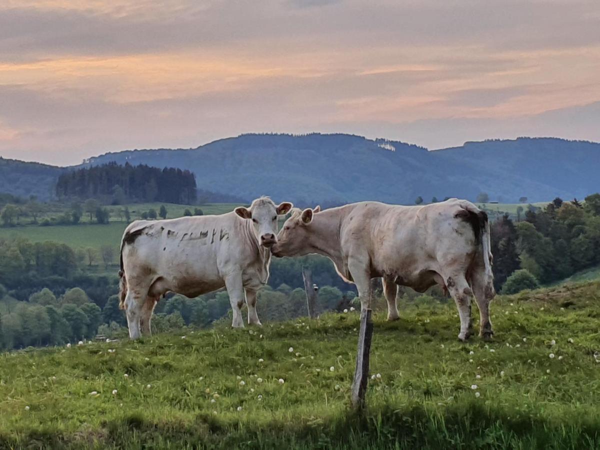 Ferienhaus Junge Ruhr Olsberg Exteriör bild